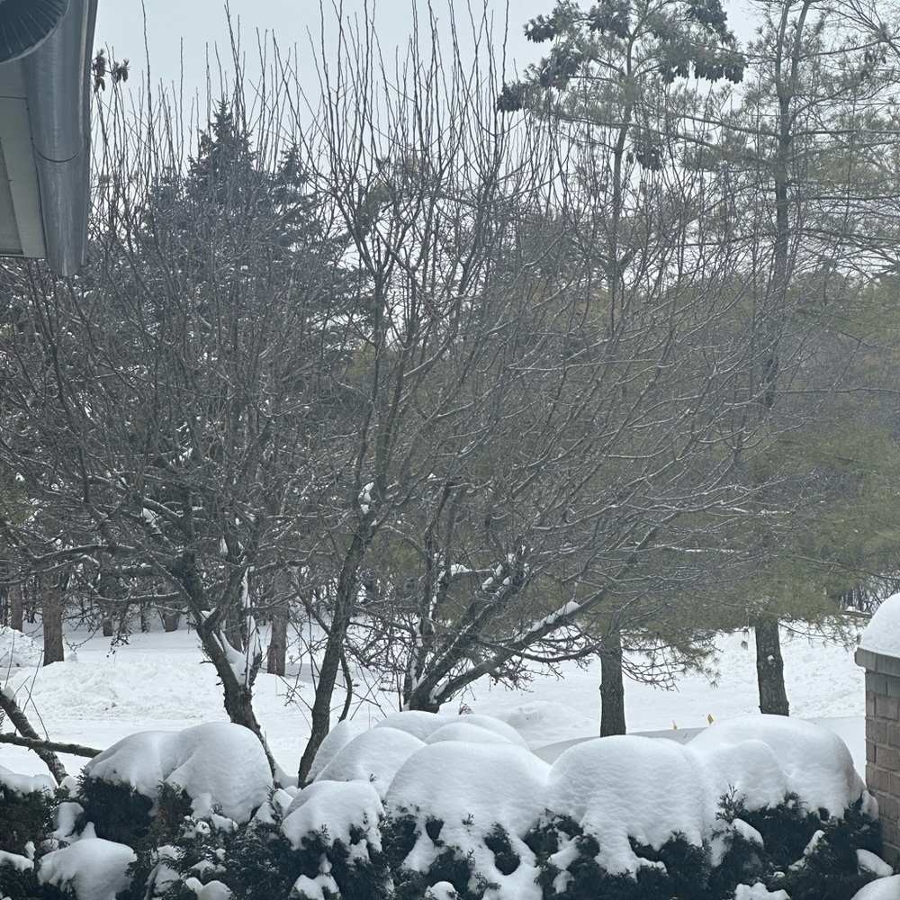 Meet your Posher, Kinda